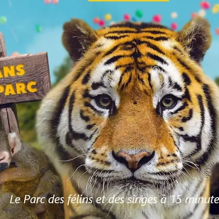Cocon A La Campagne - 20 Min - Paris 40 Min - 2 Terrasses Dammartin-sur-Tigeaux